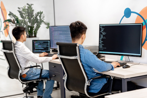 Trudosys software team planning custom development around operational workflows