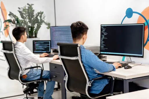 Trudosys software team planning custom development around operational workflows